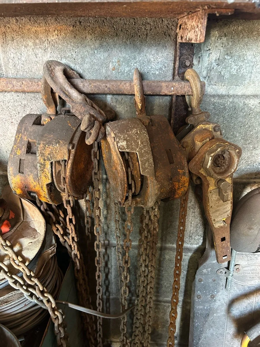 Yard clear out - Image 1