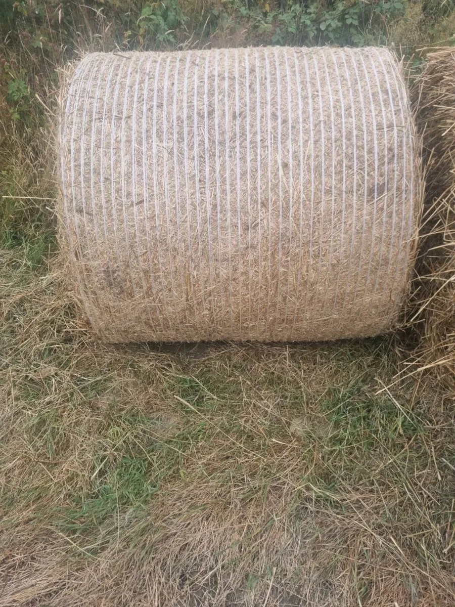 Bedding for  sale - Image 1
