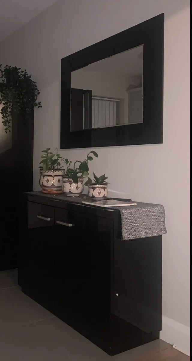 Cabinet with matching mirror - Image 1