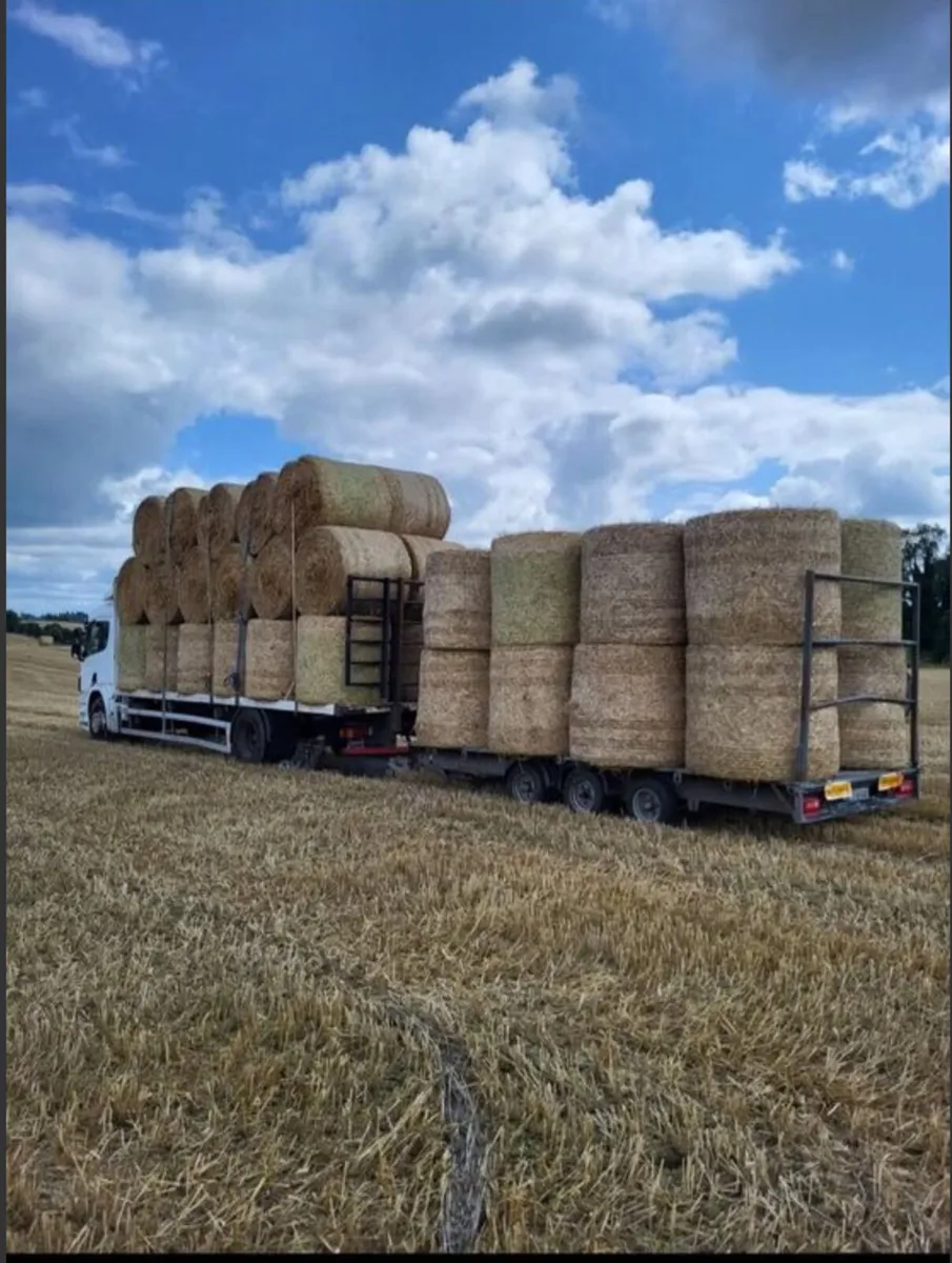 Hay and meadowing and straw on the flat wanted