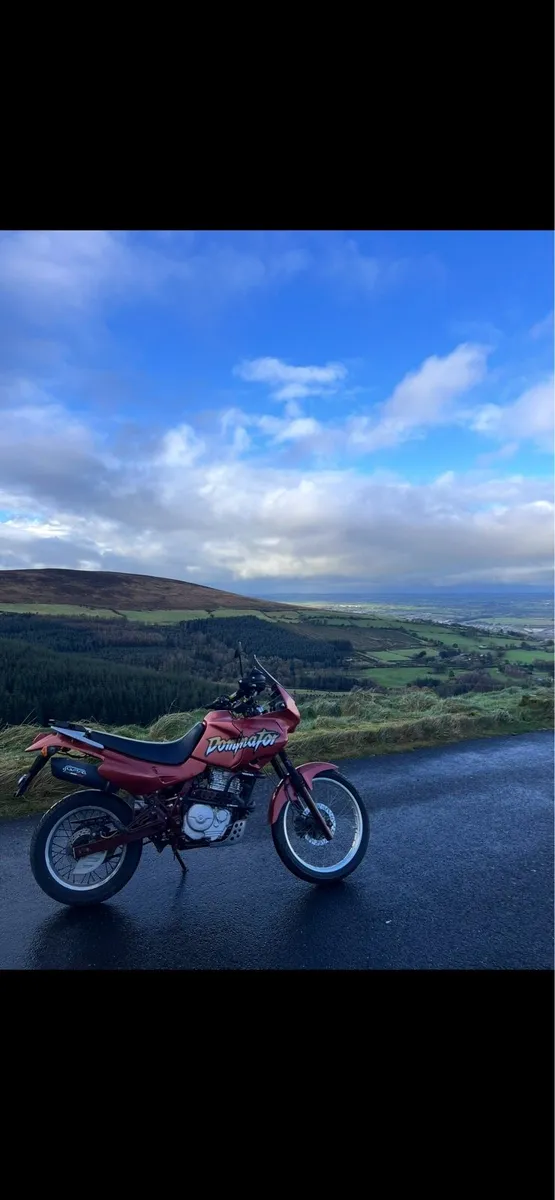 Honda Dominator NX650 - Image 1