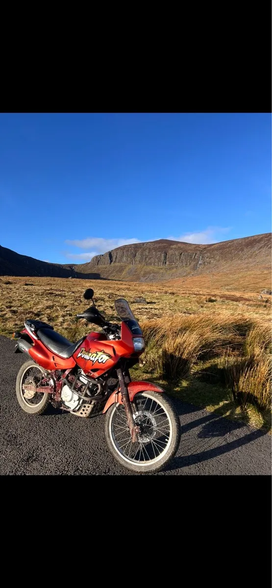Honda Dominator NX650 - Image 2