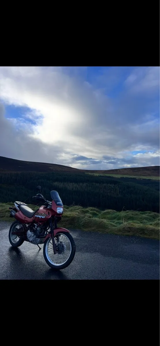 Honda Dominator NX650 - Image 3
