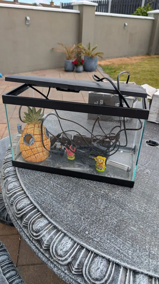 Fish tank  with the stand +Small fish tank - Image 3