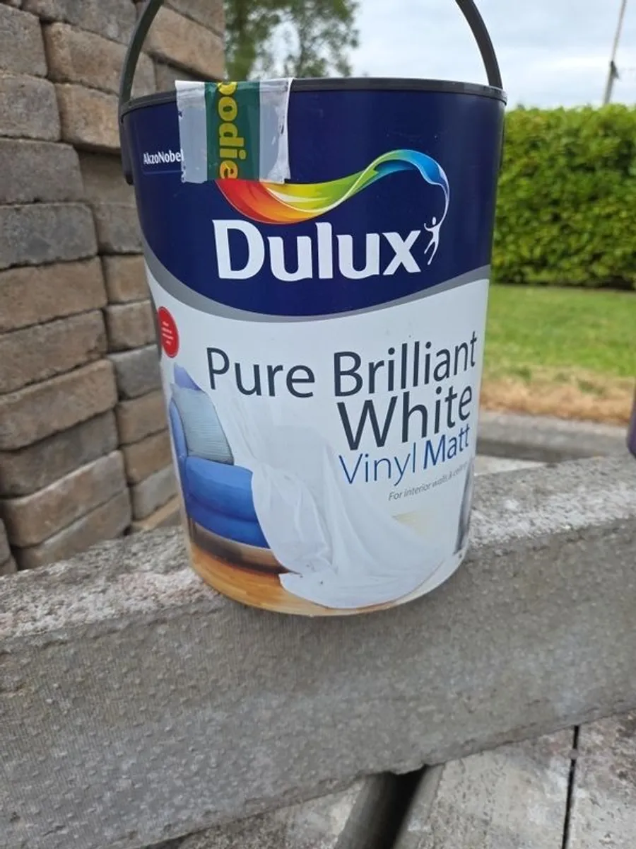 Paint - Image 1
