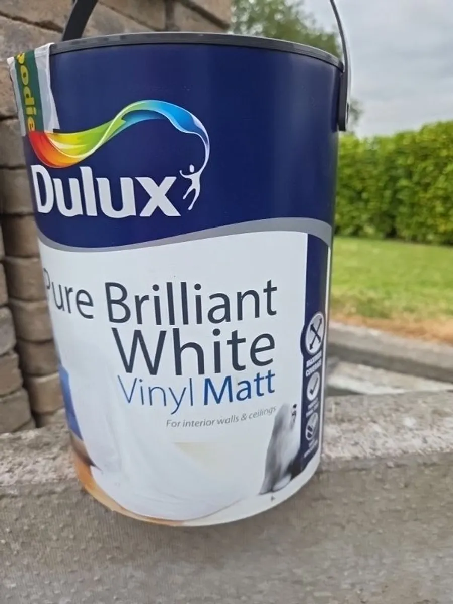 Paint - Image 2