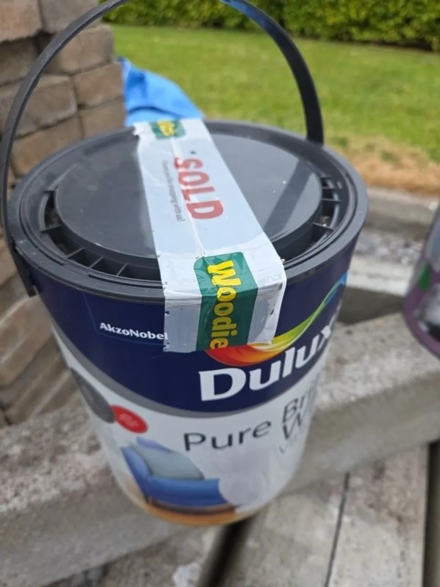 Paint - Image 3