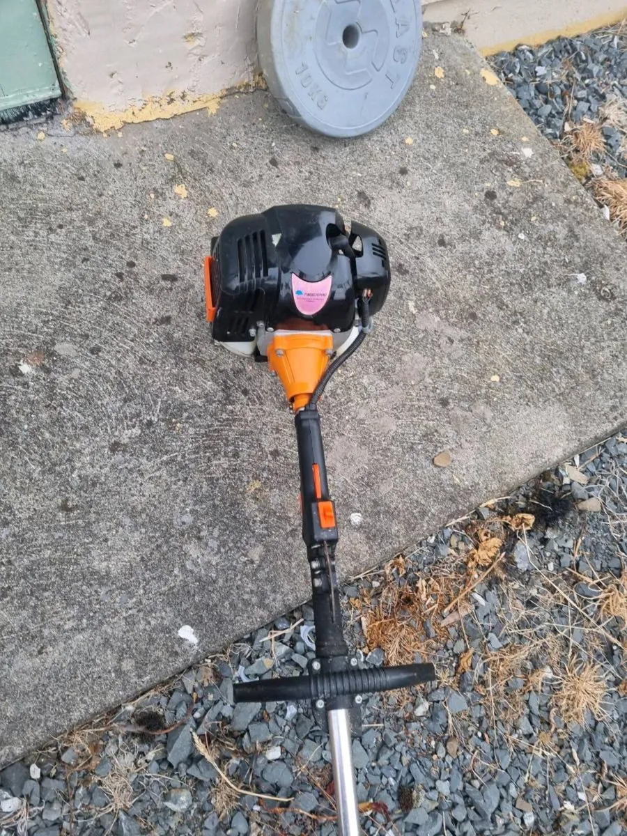 Strimmer bought new 2 years ago wouldn't start now - Image 1