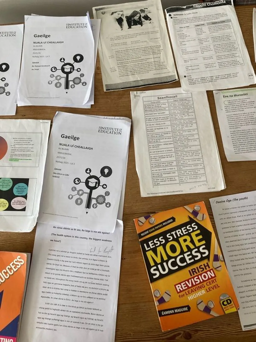 H1 institute of education Irish notes for paper 1 and 2 and more - Image 2