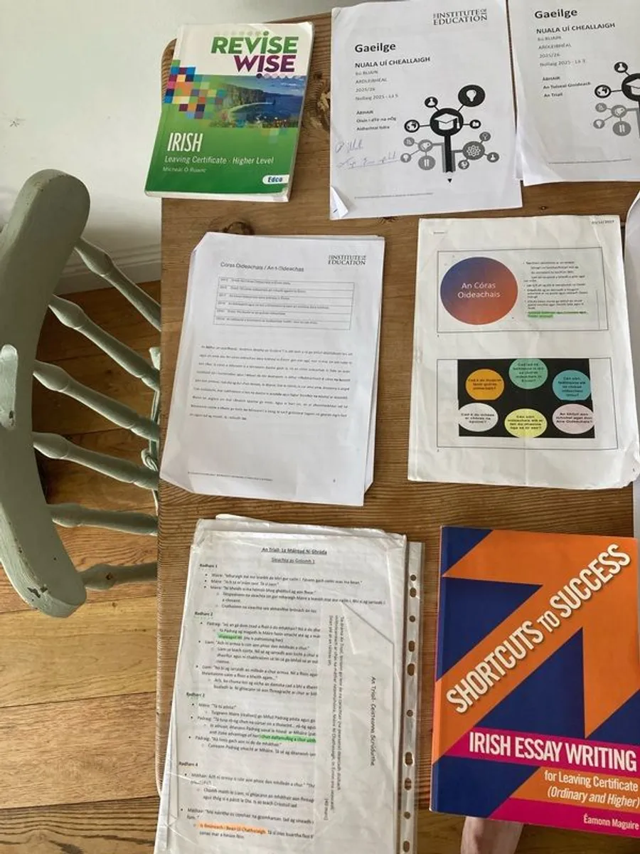 H1 institute of education Irish notes for paper 1 and 2 and more - Image 1