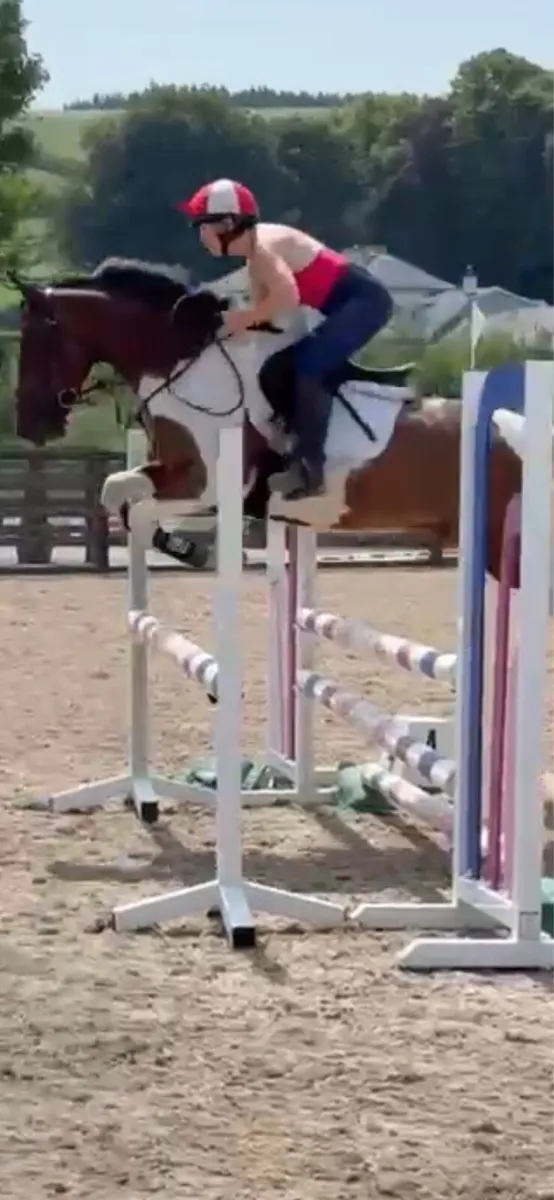 138 pony - Image 1