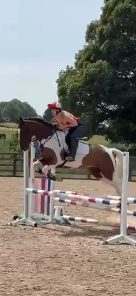 138 pony - Image 2