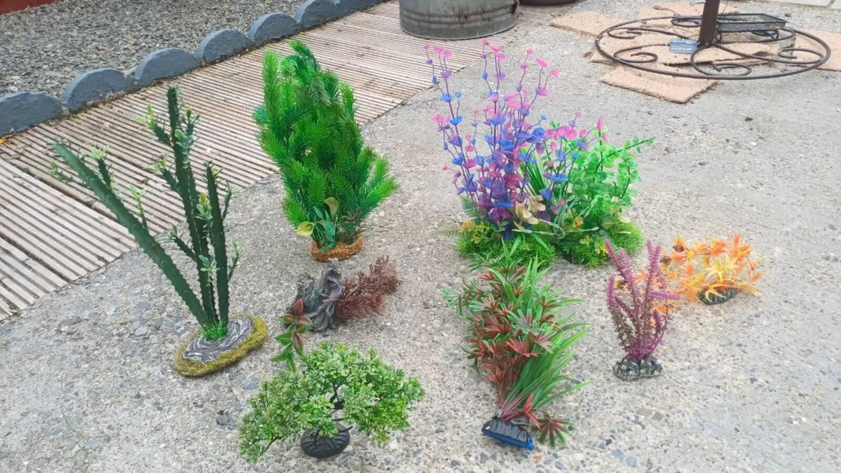 Fish accessories