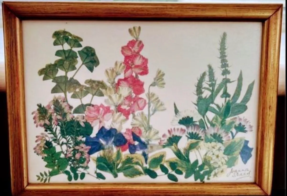 Vintage botanical art set - Image 1