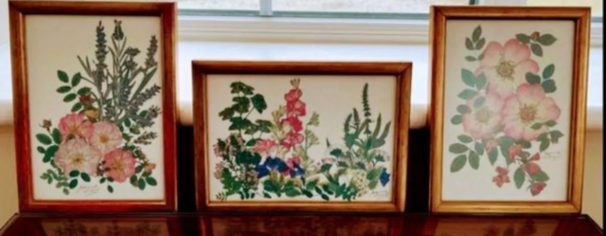 Vintage botanical art set - Image 2