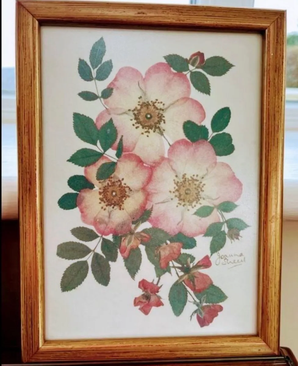 Vintage botanical art set - Image 4