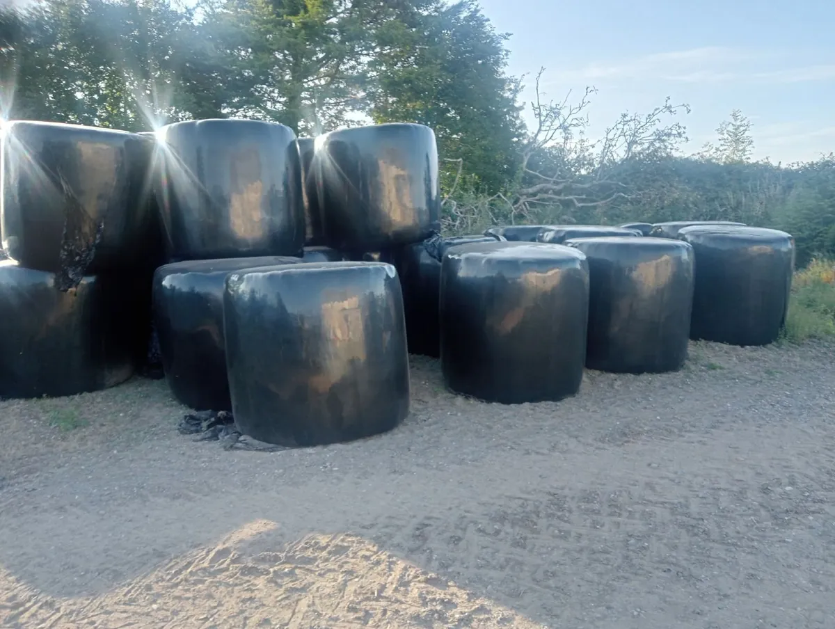 Haylage - Image 1
