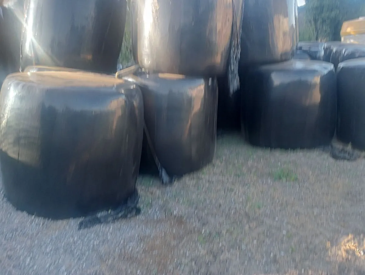 Haylage - Image 3