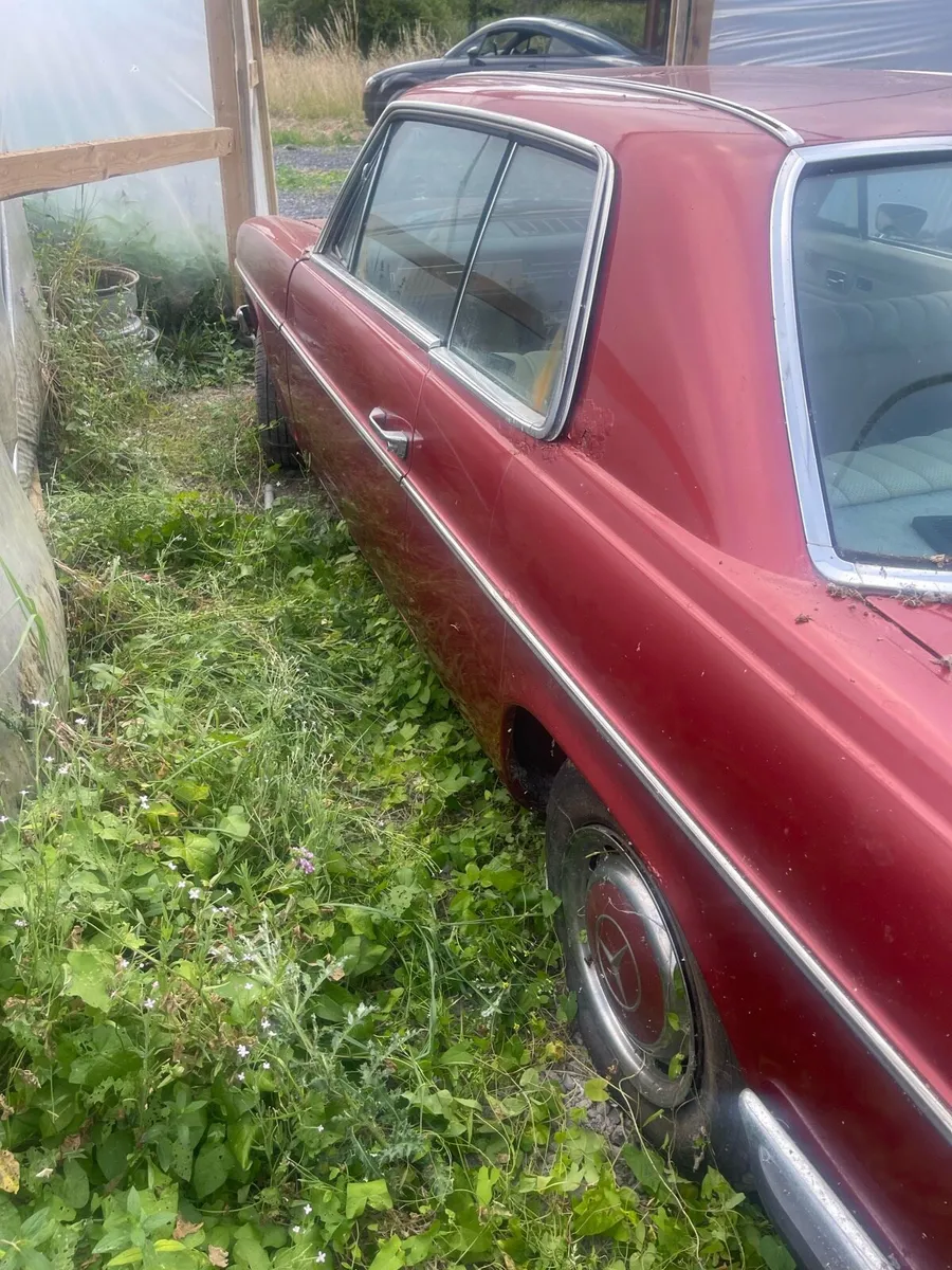 Mercedes W114 coupe - Image 4