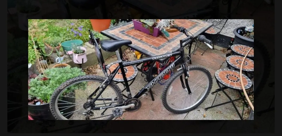 16 gear Mountain Bike - Image 1