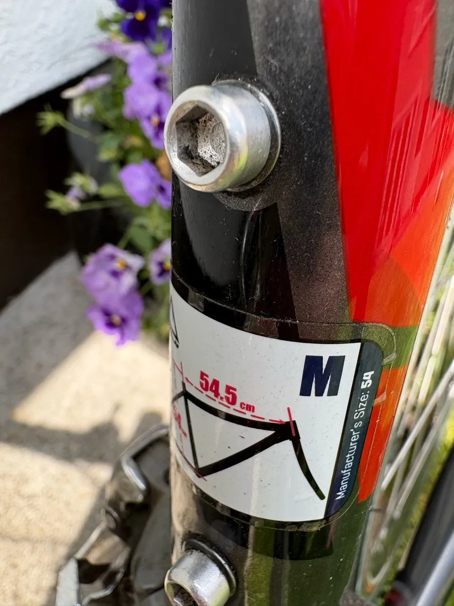 Fuji Road Bike - Image 4