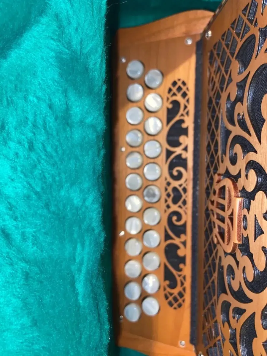 Button Accordion - Image 4