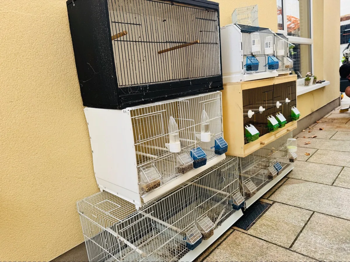 Cages for birds - Image 2
