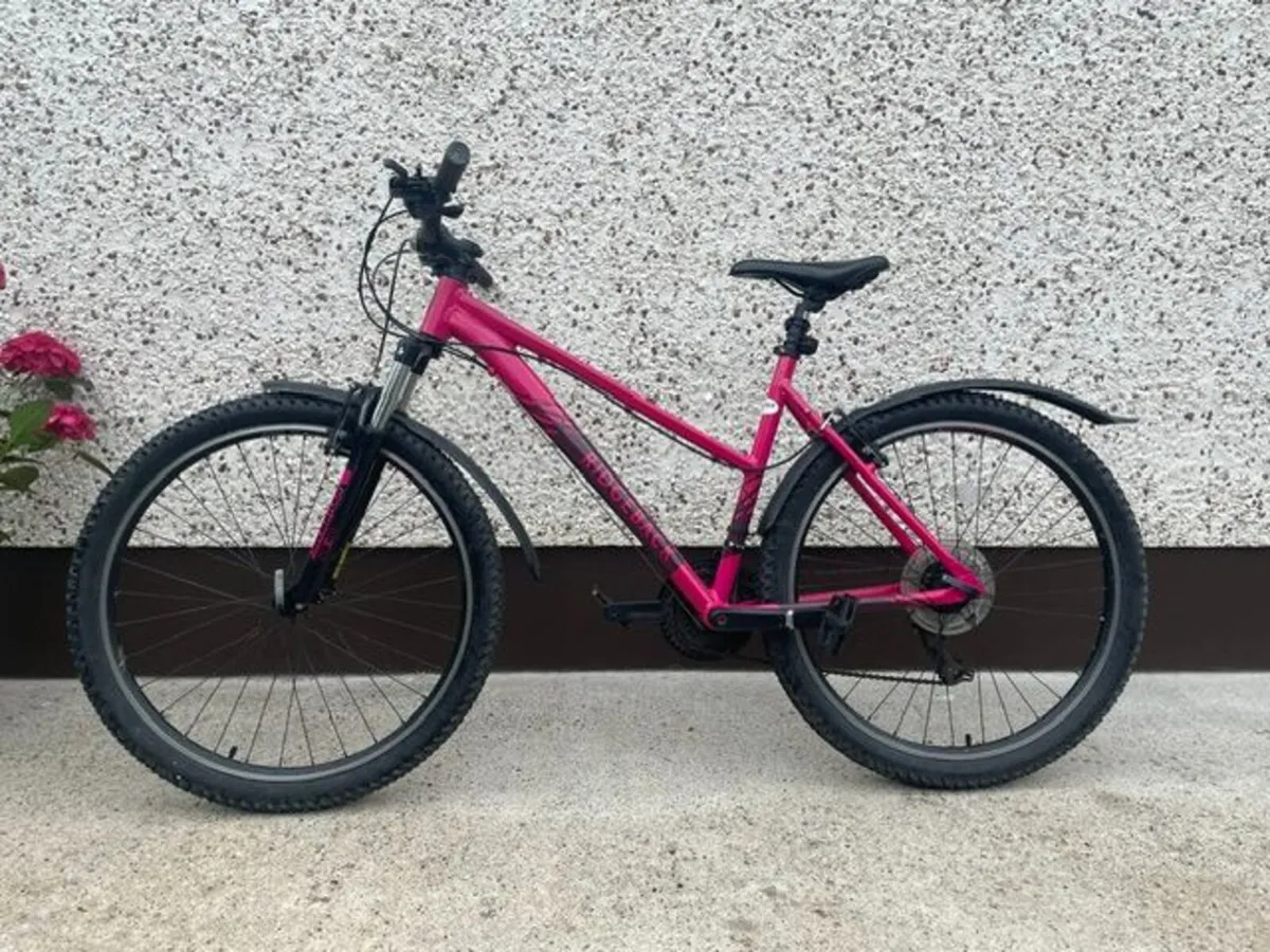 Ladies' Mountain Bike - Image 1