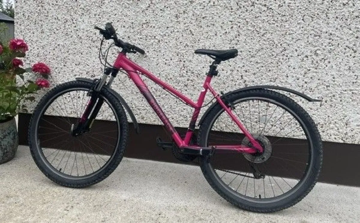 Ladies' Mountain Bike - Image 3