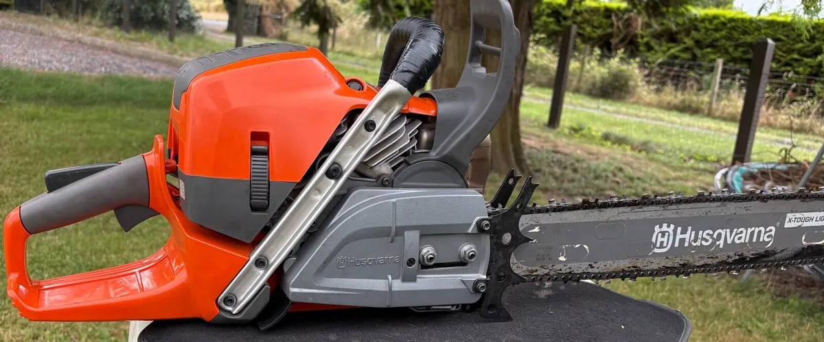 Chainsaw - Image 2