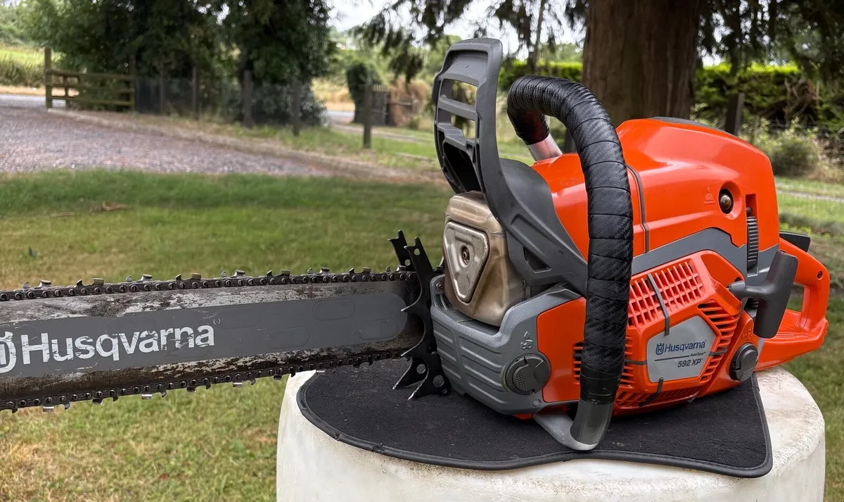 Chainsaw - Image 4