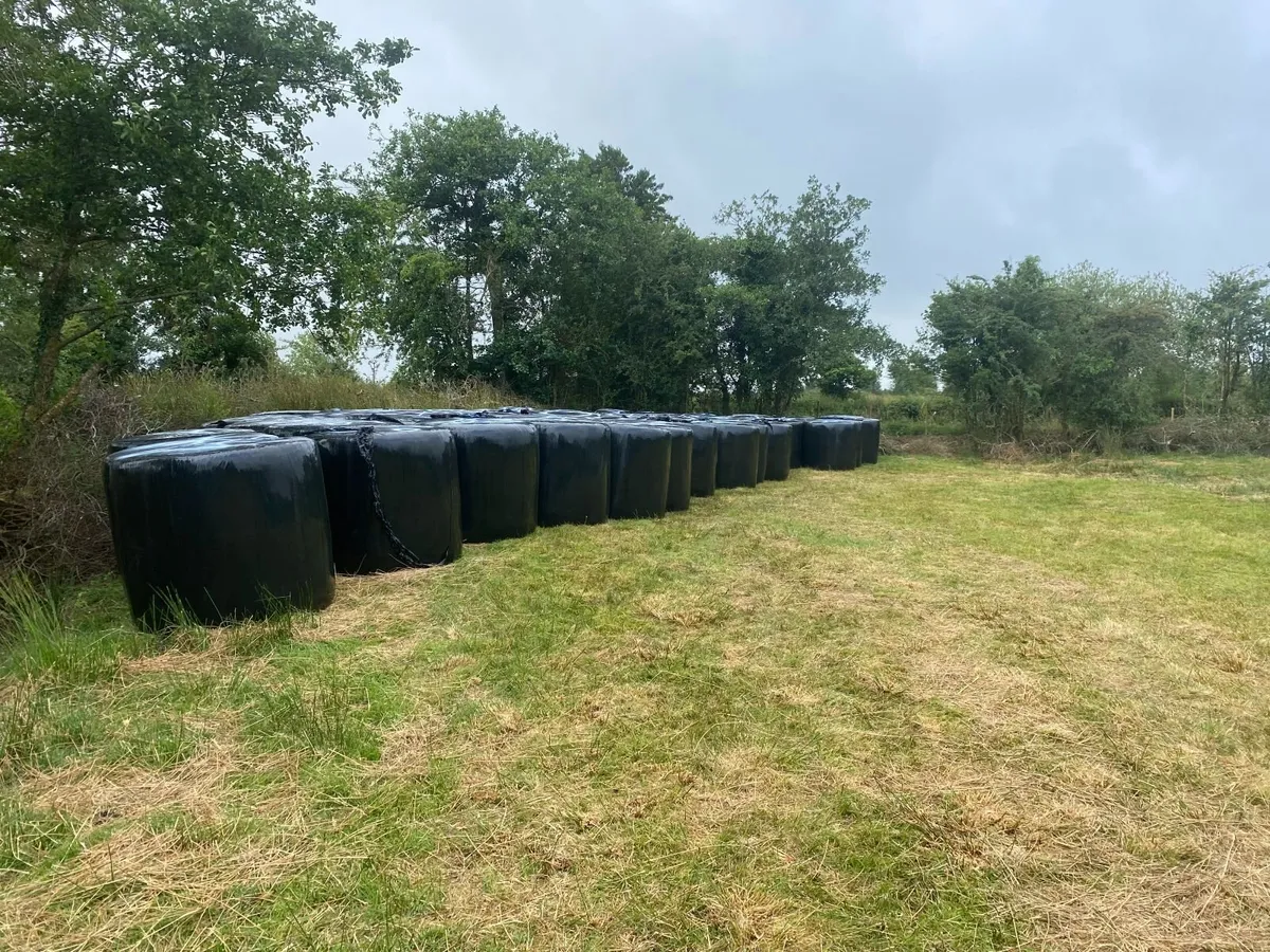 Bedding Bales - Image 2
