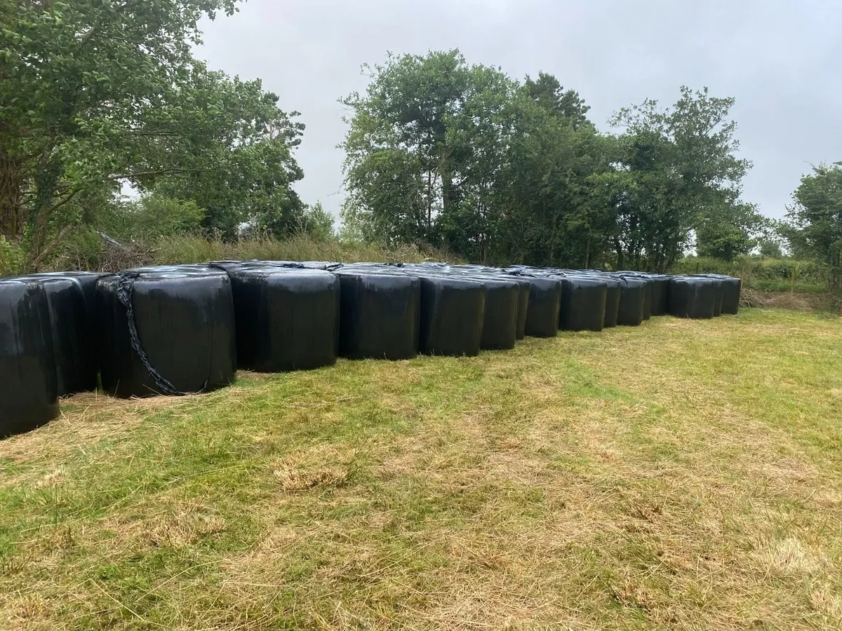 Bedding Bales - Image 1