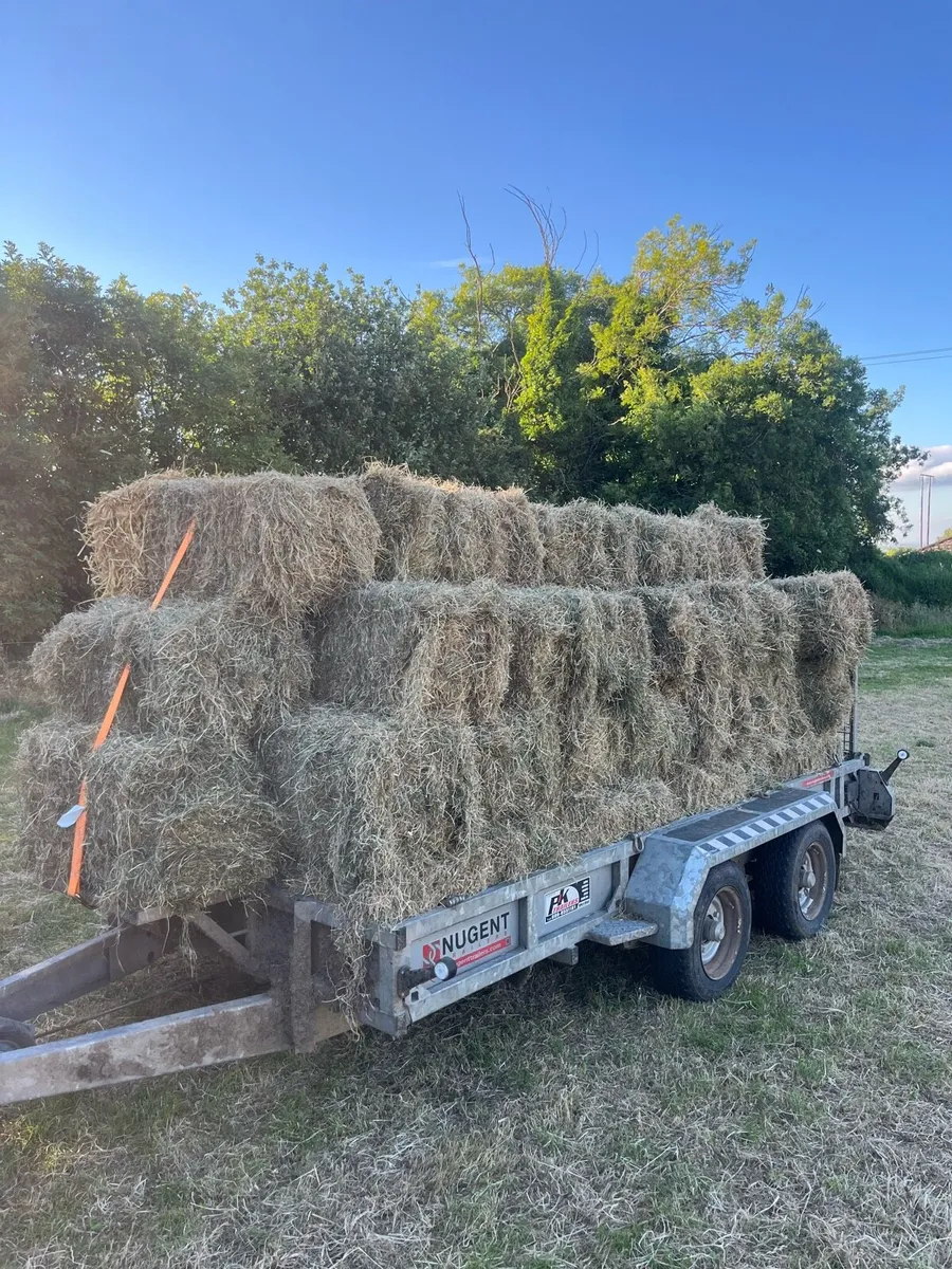 Small square bales of hay - Image 1