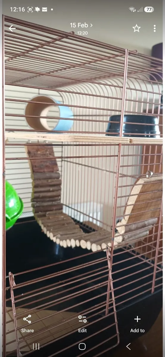 Hamster cage - Image 4