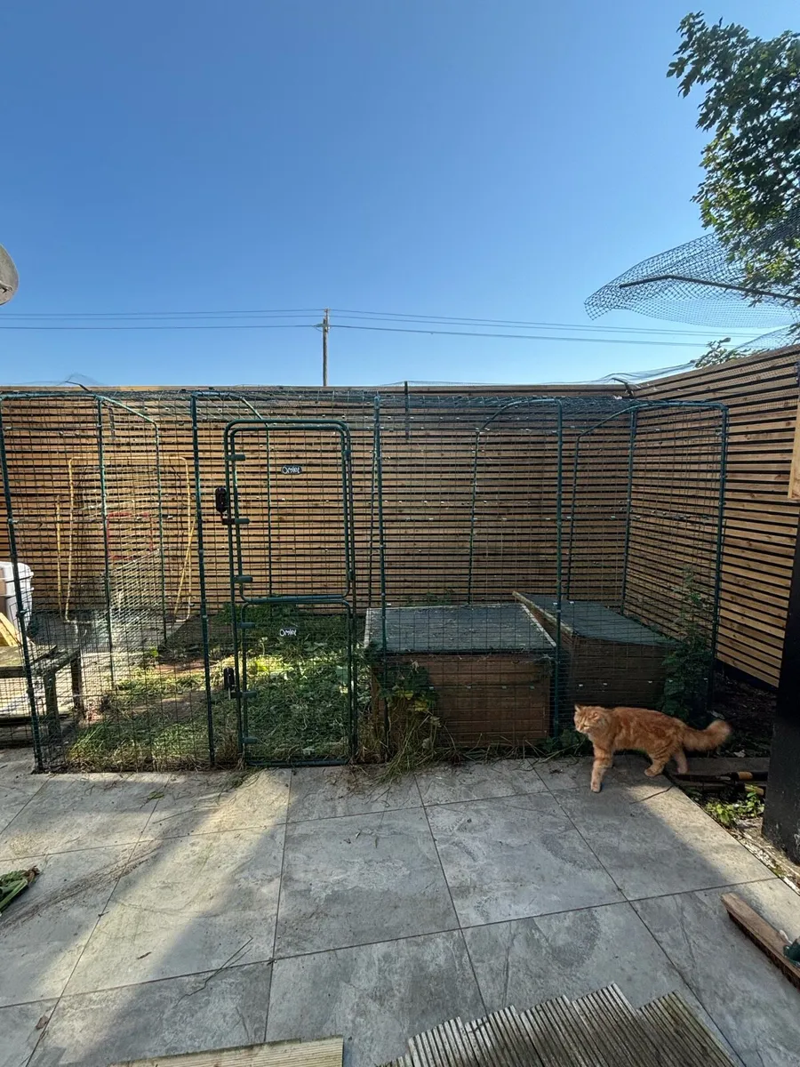 Catio - cat enclosure - Image 1