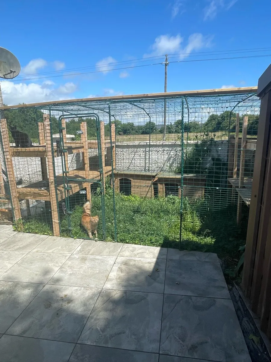 Catio - cat enclosure - Image 2