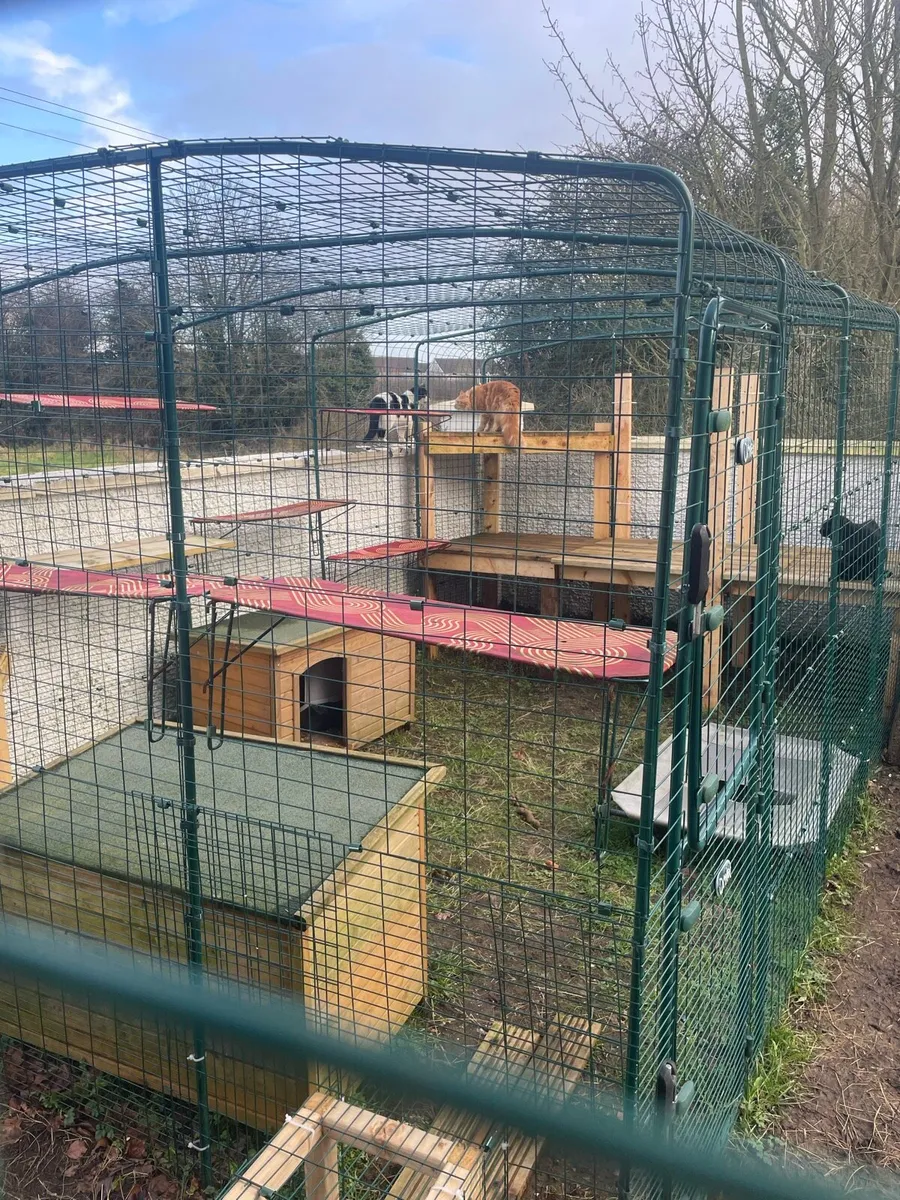 Catio - cat enclosure - Image 3