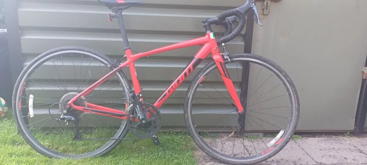 Child/Adolescent Racing Bike - Image 1
