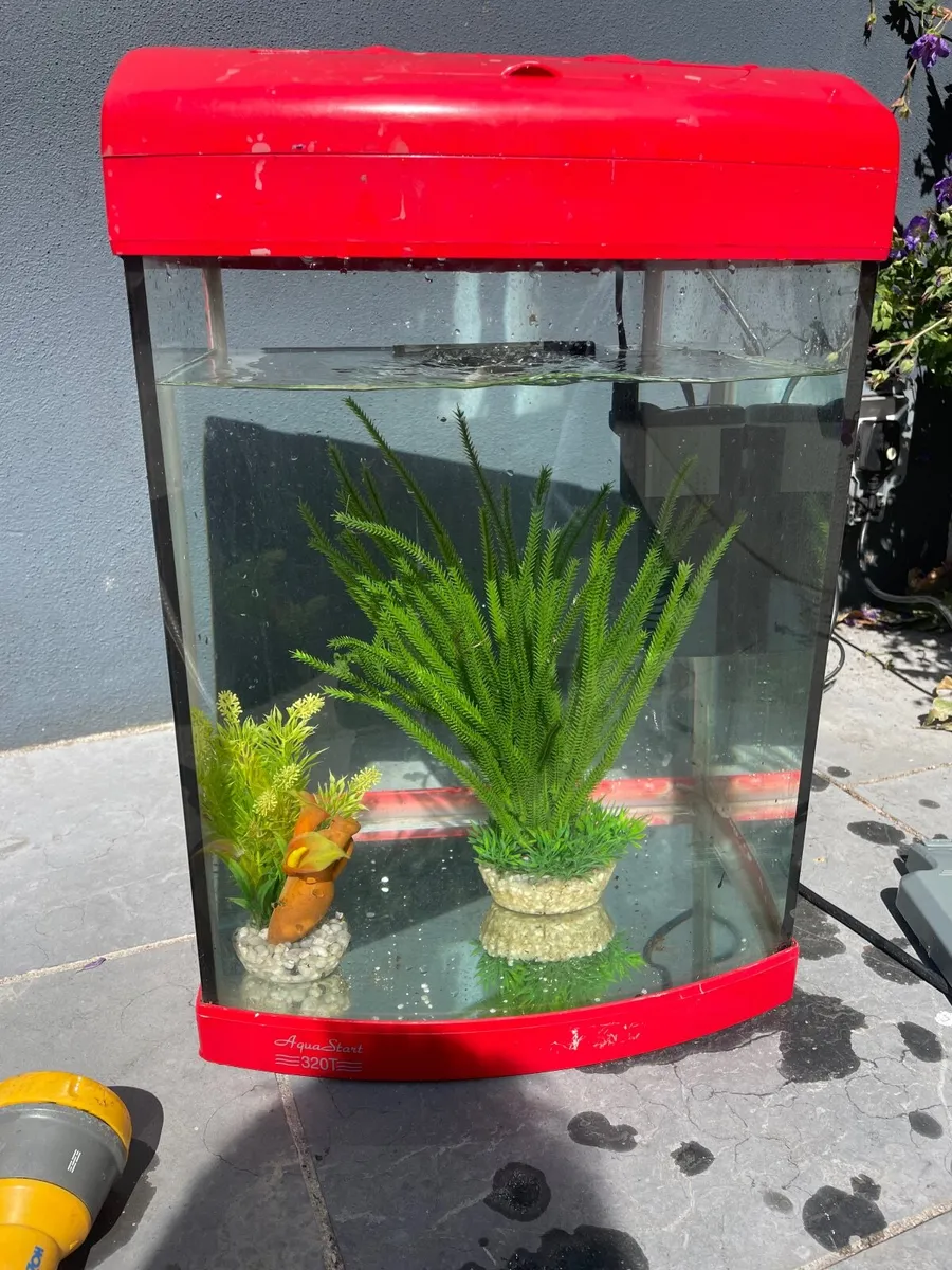 Fish tank - Image 2