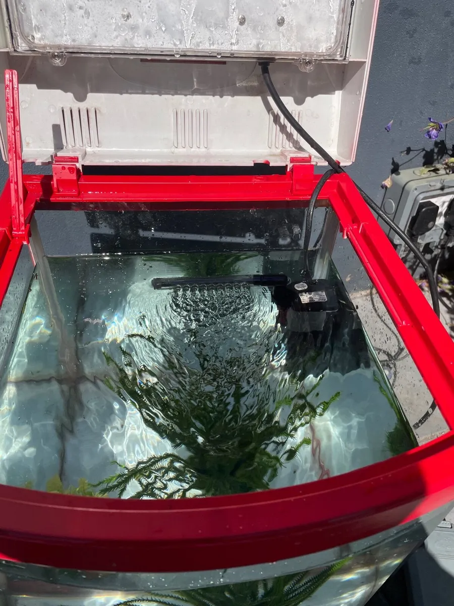 Fish tank - Image 3