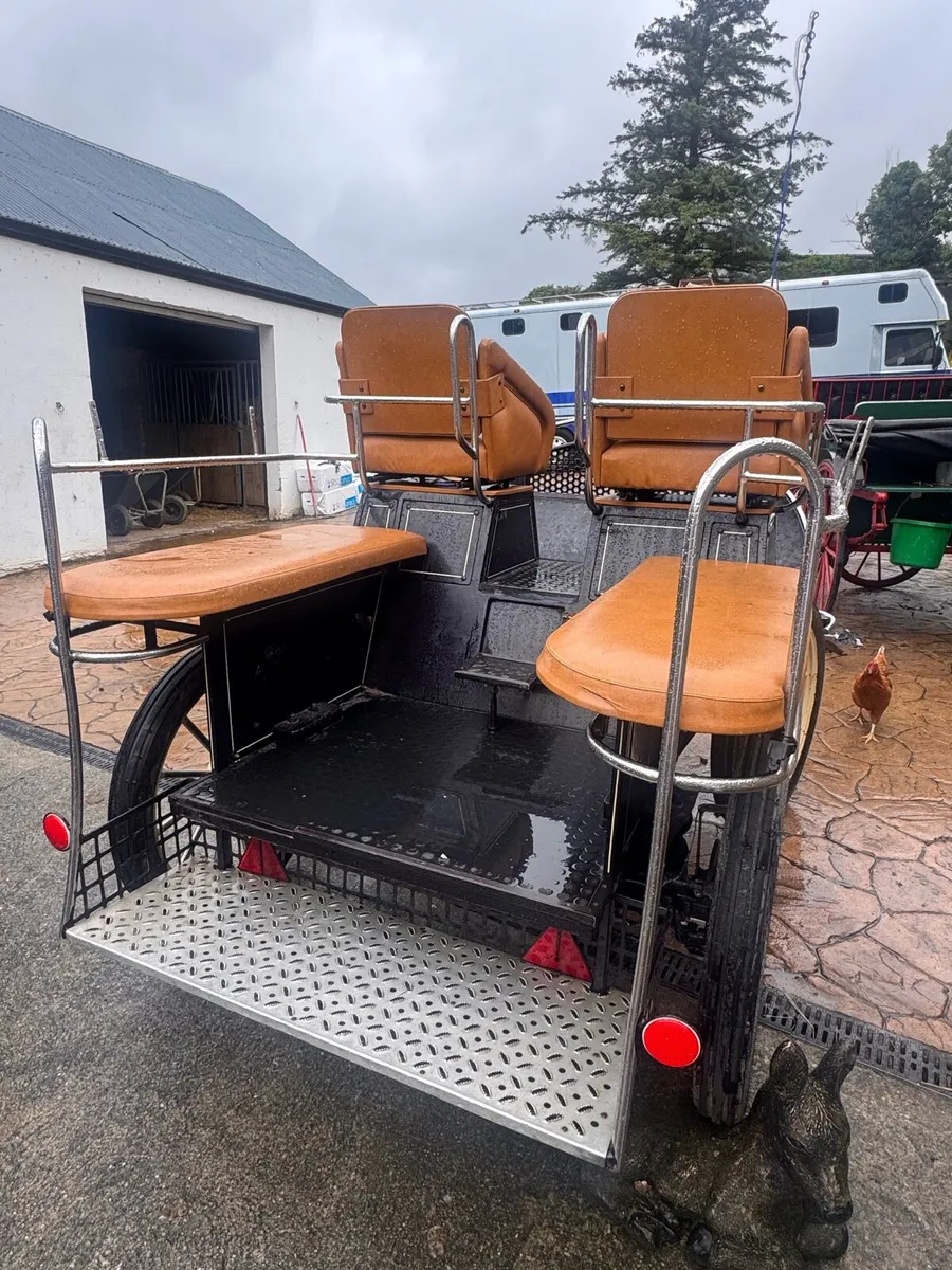 4-Wheel Horse Carriage / Driving Carriage - Image 2