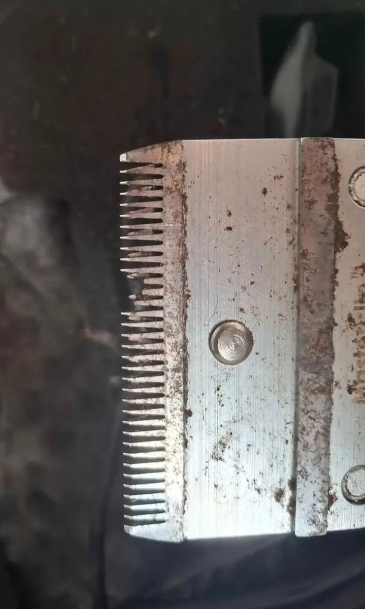 Electric horse clippers - Image 3
