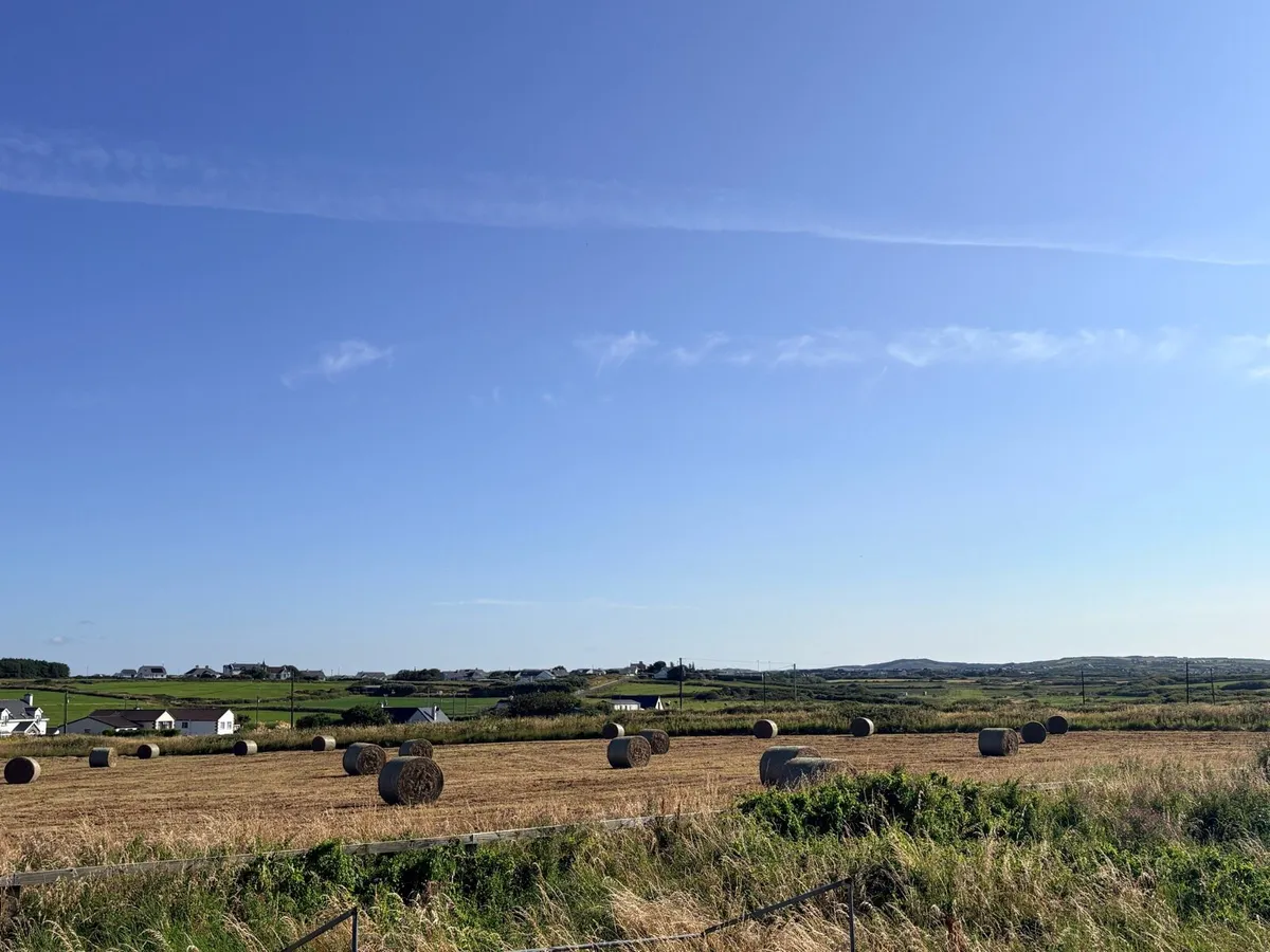 Hay bales
