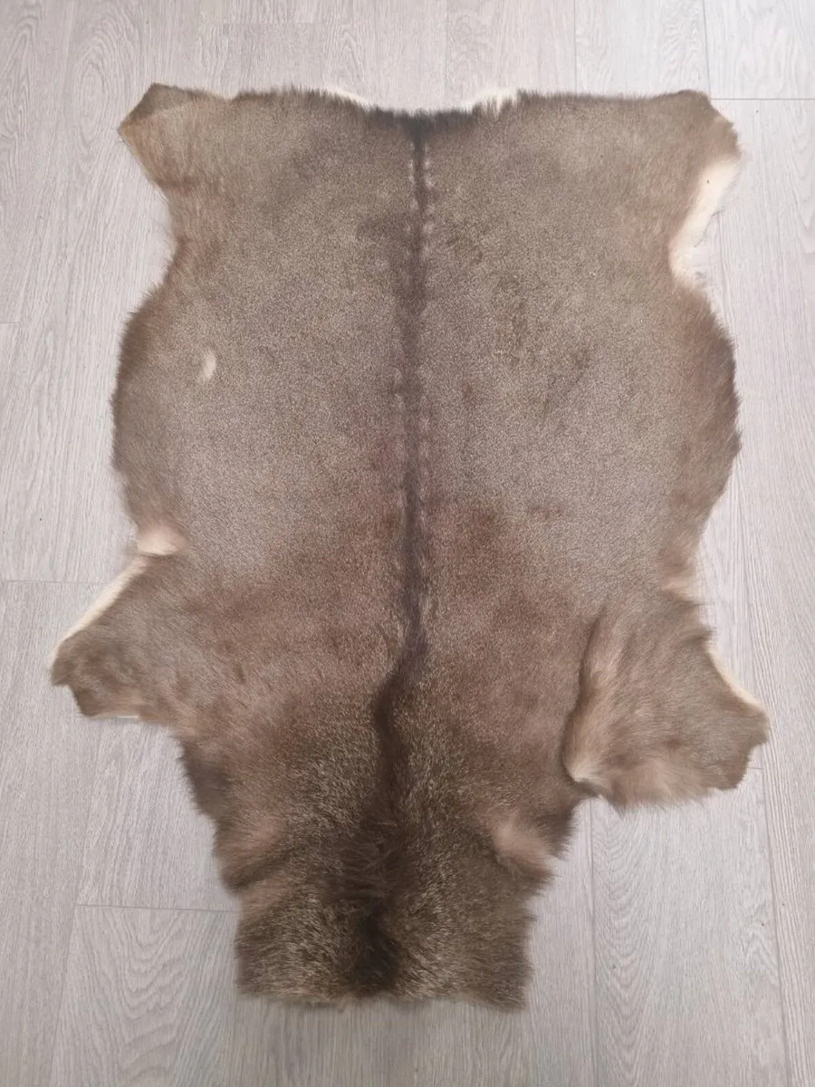 Genuine Cured Rugs - Image 1