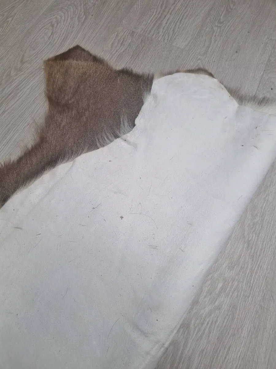 Genuine Cured Rugs - Image 2