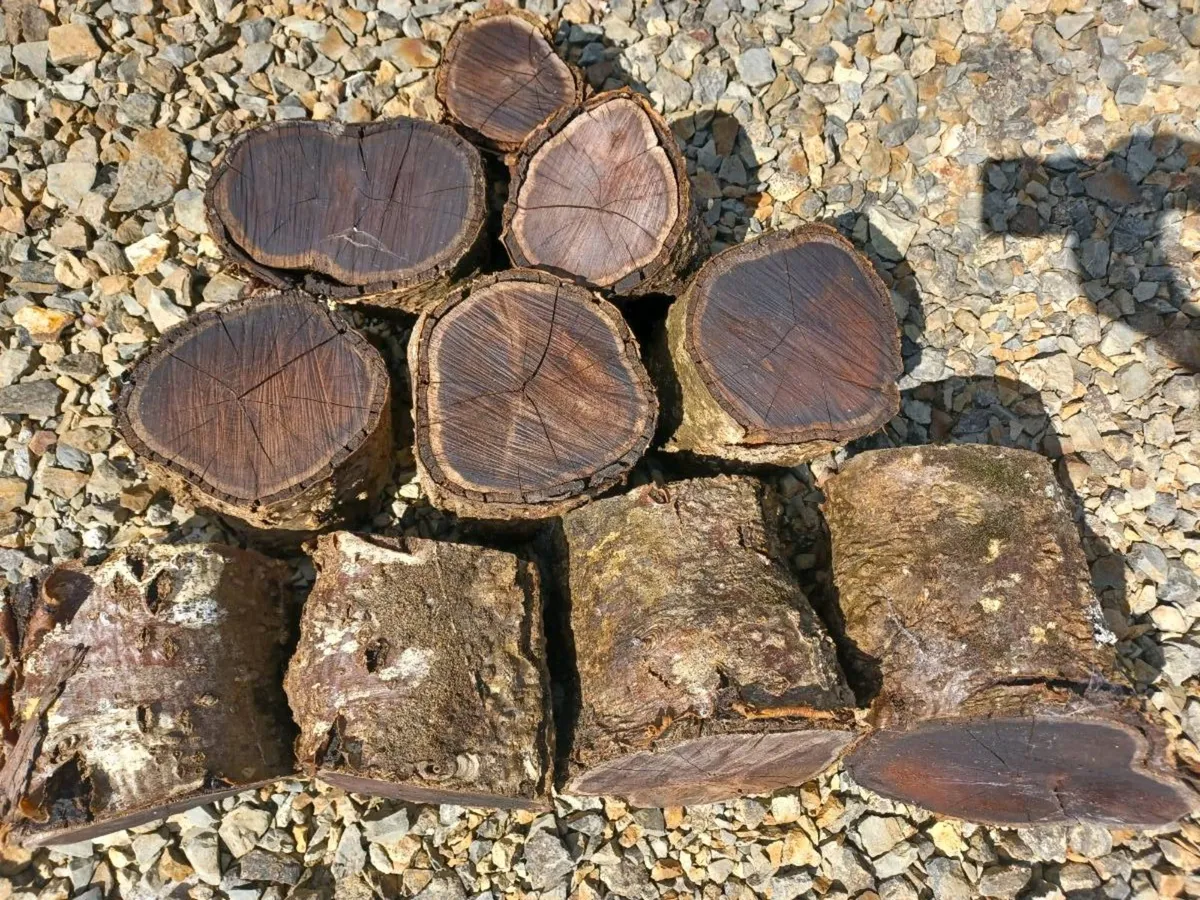 Wood