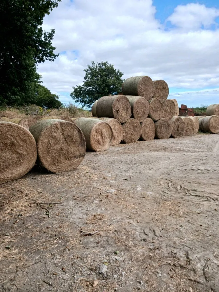 Hay for sale  €10 per bale - Image 1