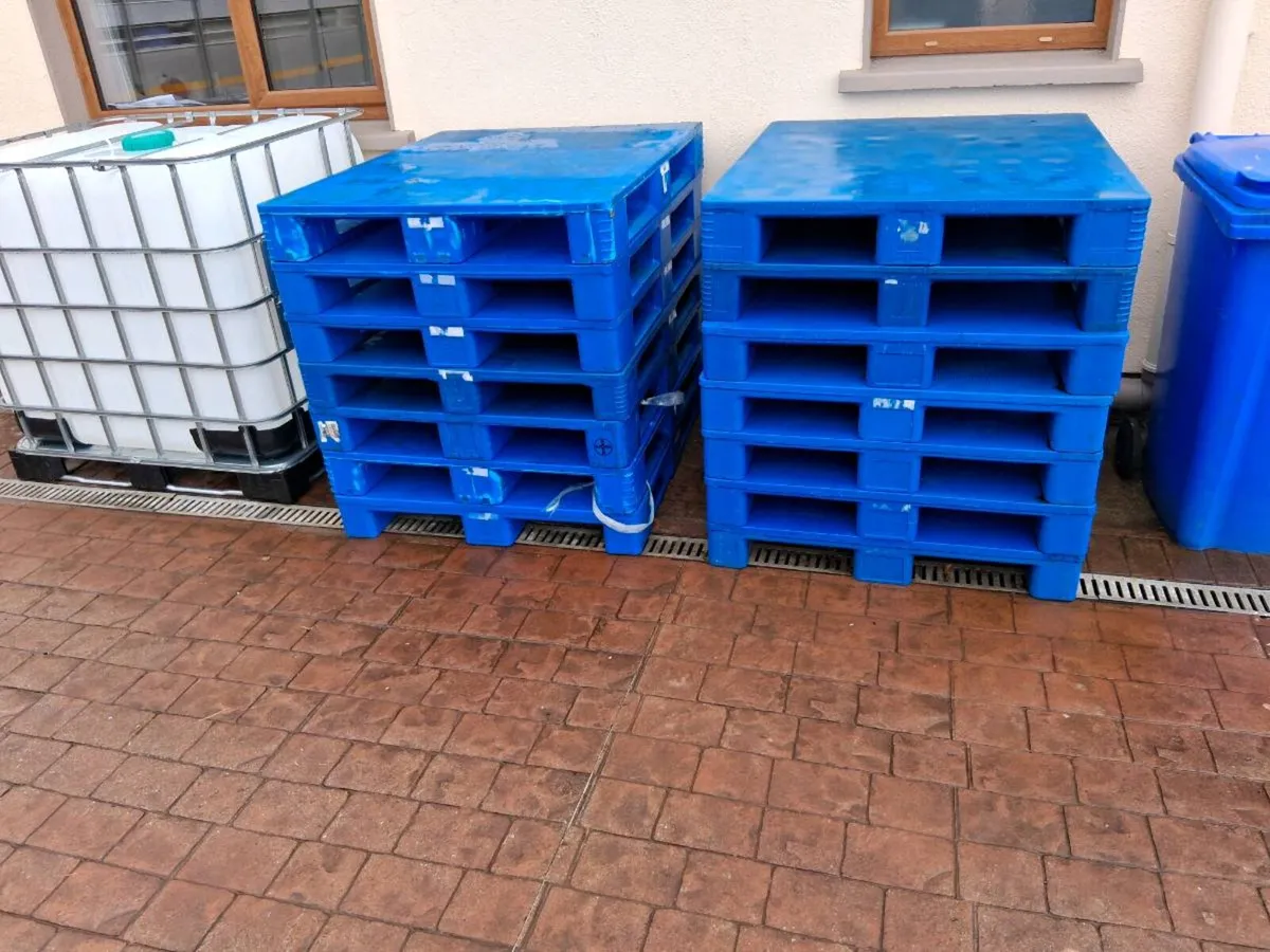 Plastic pallets - Image 1