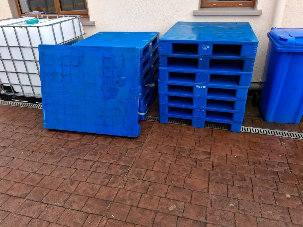 Plastic pallets - Image 2